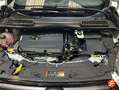 Ford Kuga 1.5 EcoBoost 129kW 4x4 ST-Line Auto Blanco - thumbnail 29