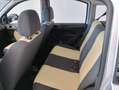 Fiat Panda Panda 1.2 Active natural power Gris - thumbnail 5