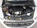 Ford Kuga Trend Pickerl neu 11.2026 Nichtraucher Serviceheft Weiß - thumbnail 34