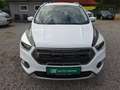 Ford Kuga Trend Pickerl neu 11.2026 Nichtraucher Serviceheft Weiß - thumbnail 10