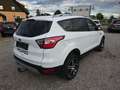 Ford Kuga Trend Pickerl neu 11.2026 Nichtraucher Serviceheft Weiß - thumbnail 4