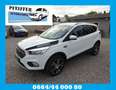 Ford Kuga Trend Pickerl neu 11.2026 Nichtraucher Serviceheft Weiß - thumbnail 1