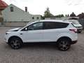 Ford Kuga Trend Pickerl neu 11.2026 Nichtraucher Serviceheft Weiß - thumbnail 9