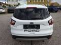 Ford Kuga Trend Pickerl neu 11.2026 Nichtraucher Serviceheft Weiß - thumbnail 8