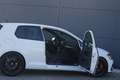 Volkswagen Golf 7 R 4 Motion HGP"483PS"Gewinde"OZ"Dynaudio" Weiß - thumbnail 19