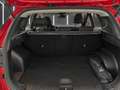 Hyundai TUCSON 1.6 CRDI Klass 4x2 Rojo - thumbnail 8