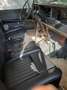 Land Rover Series 88 deluxe Beige - thumbnail 3