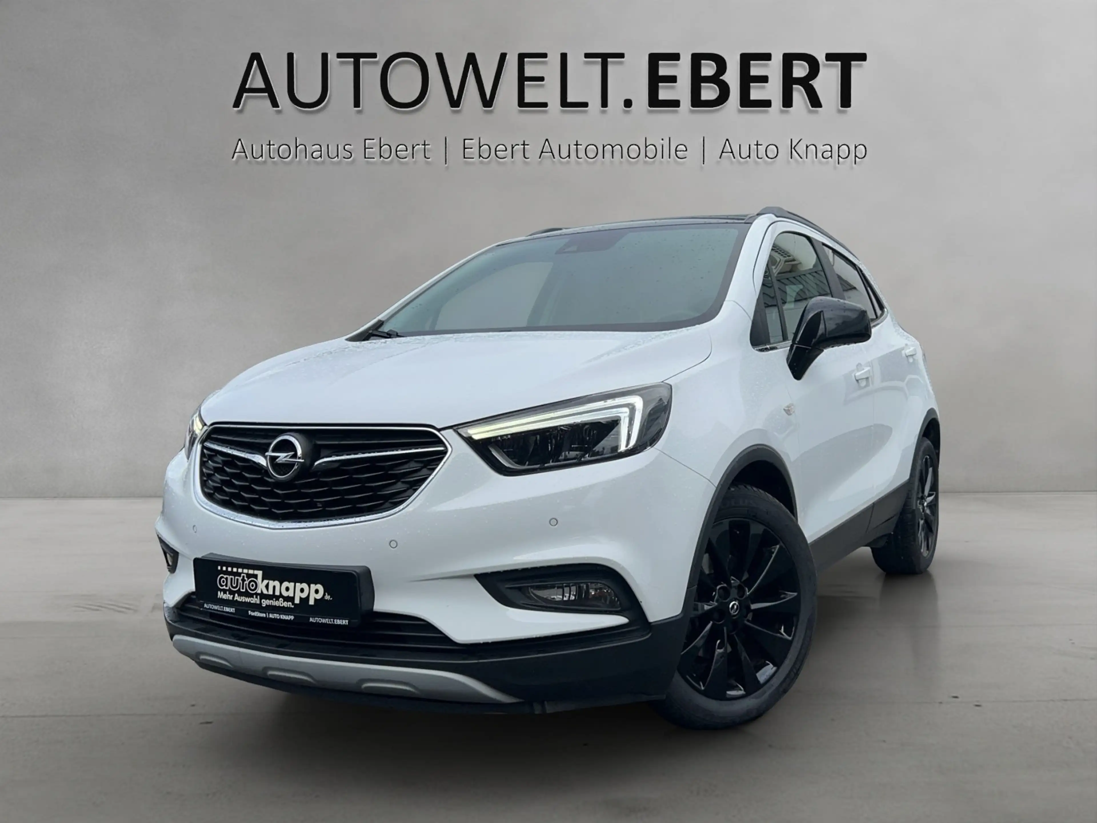 Opel Mokka X 1.4 Turbo Color Innovation/AHK/PDC/