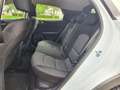 Kia XCeed Vision Plug-in Hybrid Weiß - thumbnail 9