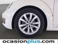 Volkswagen Beetle 1.6TDI Design 105 Blanco - thumbnail 32