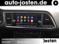 SEAT Ateca Style 1.0 TSI  LED CarPlay Dinamica PDC Чорний - thumbnail 15