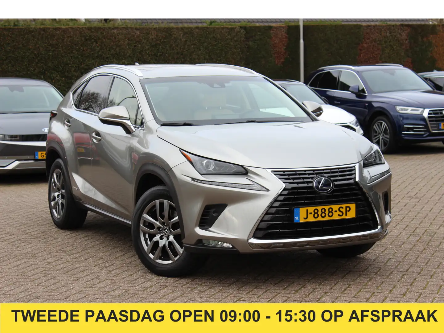 Lexus NX 300h AWD Luxury Line / Trekhaak / Camera / Leder / Keyl Gris - 1