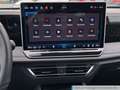 Volkswagen Tiguan 2.0 TDI DSG 4M R-Line Navi AHK Pano Sthzg Rot - thumbnail 10