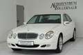 Mercedes-Benz E 240 Lim. W211 *AUTOMATIK*TÜV/AU NEU*GEPFLEGT* Alb - thumbnail 2