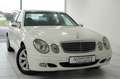 Mercedes-Benz E 240 Lim. W211 *AUTOMATIK*TÜV/AU NEU*GEPFLEGT* White - thumbnail 8