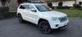 Jeep Grand Cherokee Grand Cherokee 3.0 crd Overland auto Bianco - thumbnail 9