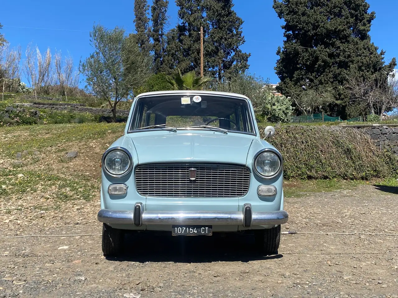 Fiat 1100 D, foto 4