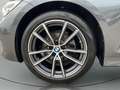 BMW 320 d A Advantage HiFi DAB LED WLAN Tempomat Shz Gris - thumbnail 18