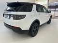 Land Rover Discovery Sport 2.0d i4 mhev awd 150cv auto AUTOCARRO Weiß - thumbnail 4