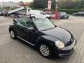 Volkswagen New Beetle Maggiolino Cabrio 1.6 TDI DSG Design Nero - thumbnail 11