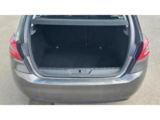 Peugeot 308 view 19