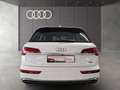 Audi Q5 50 TFSI e quattro S tronic S line LED DAB PDC Weiß - thumbnail 6