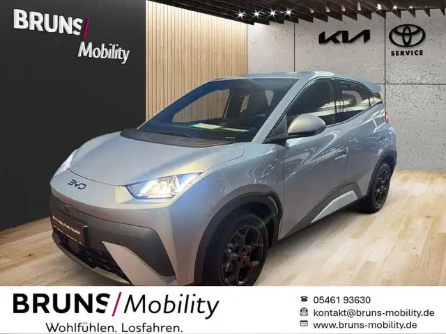 BYD Dolphin Surf 65 kW Boost