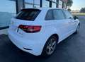 Audi A3 A3 Sportback Sportback 30 1.6 tdi 116cv s-tronic Bianco - thumbnail 6