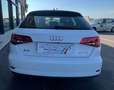 Audi A3 A3 Sportback Sportback 30 1.6 tdi 116cv s-tronic Bianco - thumbnail 9