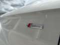 Audi Q7 3.0 TDI quattro (150kW) Weiß - thumbnail 23