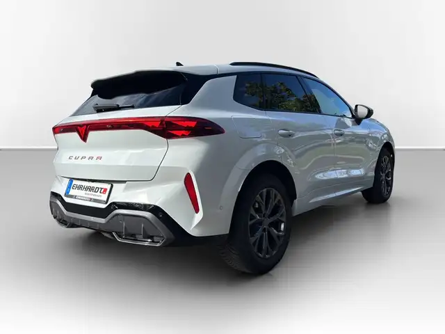 Cupra Terramar view 6