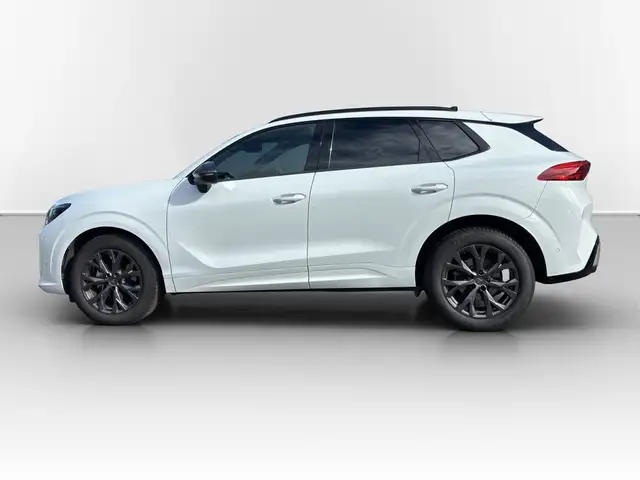 Cupra Terramar view 10