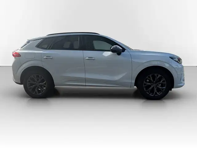 Cupra Terramar view 5