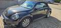 Volkswagen Beetle Beetle Cabrio BM Technology Automatik Schwarz - thumbnail 18