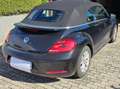 Volkswagen Beetle Beetle Cabrio BM Technology Automatik Schwarz - thumbnail 20