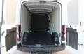 Ford Transit TRANSIT KW TREND 330 L3H2 2.0 ECOBLUE 130PS Trend Weiß - thumbnail 12