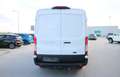 Ford Transit TRANSIT KW TREND 330 L3H2 2.0 ECOBLUE 130PS Trend Weiß - thumbnail 13