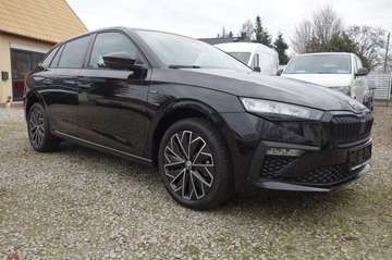 Selection Dynamik Paket / Panorama / DSG