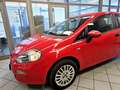 Fiat Punto Tüv 04-2026 Rot - thumbnail 15
