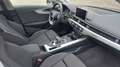 Audi A4 allroad quattro TDI S tronic Grau - thumbnail 21