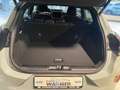 Ford Puma 1.0  Hybrid Aut. ST-LINE/iACC/Dach schwarz Grau - thumbnail 5