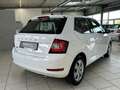 Skoda Fabia 1.0 Active Klima PDC Freisprech DAB Weiß - thumbnail 7