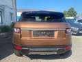 Land Rover Range Rover Evoque Pure=Automatik-Sitzheiz-Temp= - thumbnail 5
