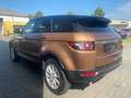 Land Rover Range Rover Evoque Pure=Automatik-Sitzheiz-Temp= - thumbnail 4