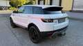 Land Rover Range Rover Evoque Pure Mod 15 LEDER NAVI AHK Weiß - thumbnail 4