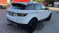 Land Rover Range Rover Evoque Pure Mod 15 LEDER NAVI AHK Weiß - thumbnail 3