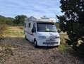 Fiat Ducato Ducato Super Combi TD Blanco - thumbnail 13