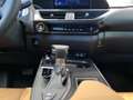 Lexus UX 300h F Sport 2WD Grau - thumbnail 15