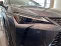 Lexus UX 300h F Sport 2WD Gris - thumbnail 24