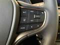 Lexus UX 300h F Sport 2WD siva - thumbnail 13